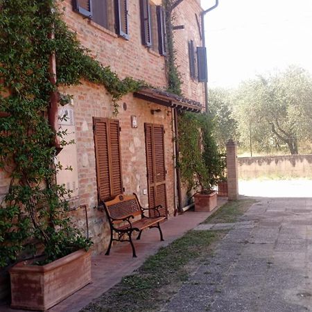 Agriturismo La Pergola Castiglione del Lago Esterno foto